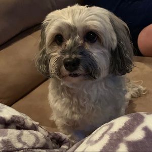 Meet your Posher, Jess